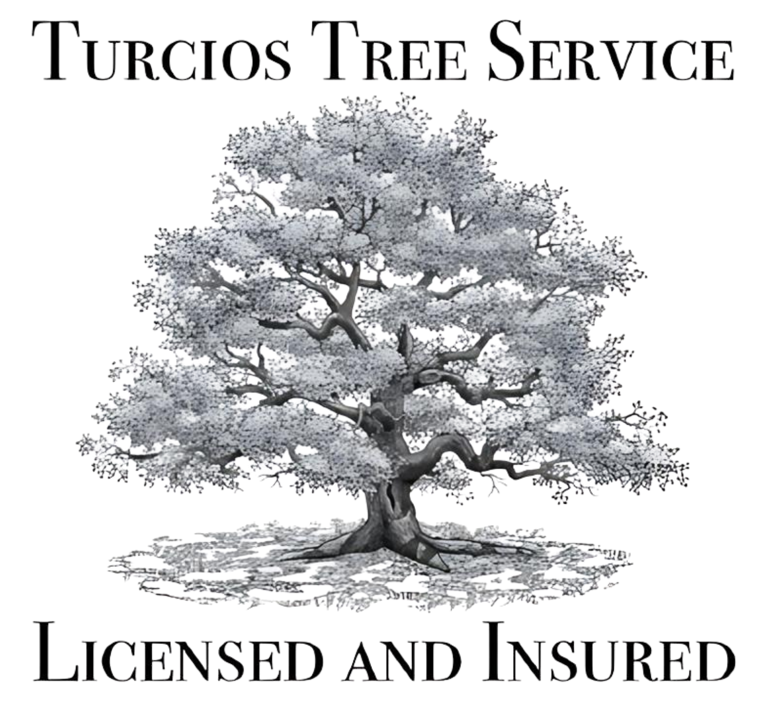 new logo 3